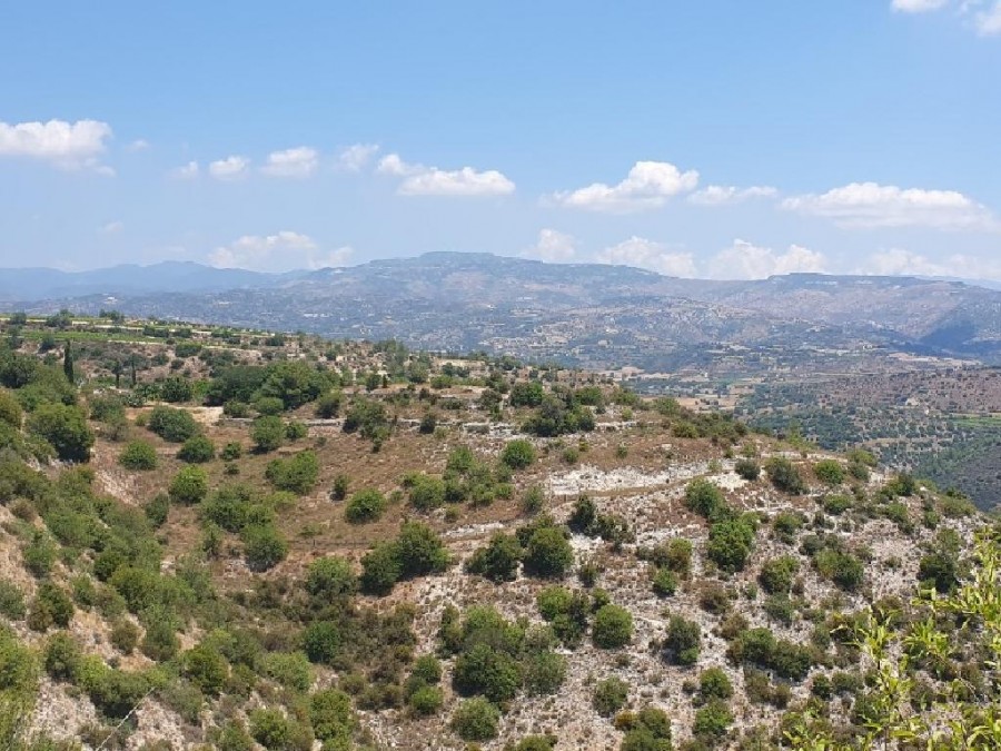 Agricultural Field For Sale  in  Letymvou