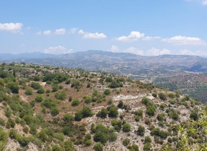 Letymvou, Paphos Agricultural Field For Sale | WW27514
