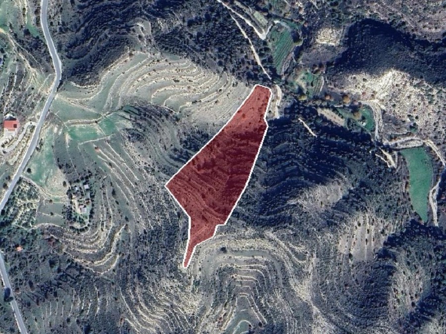 Field - Agios Therapon, Limassol