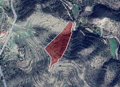 Ayios Therapon Agricultural Field For Sale | WW27534