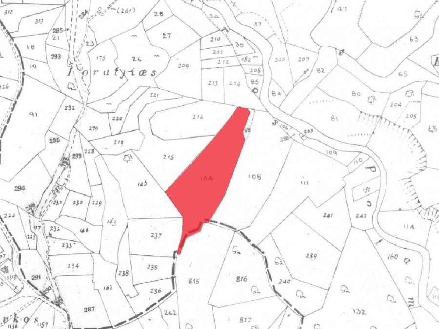 Field - Agios Therapon, Limassol