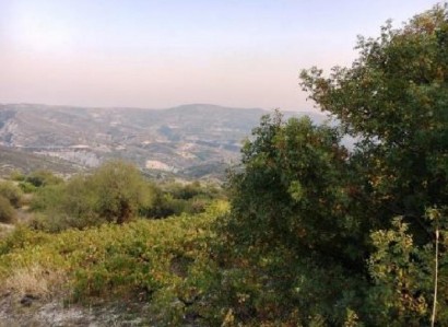 Silikou, Limassol Agricultural Field For Sale | WW27558