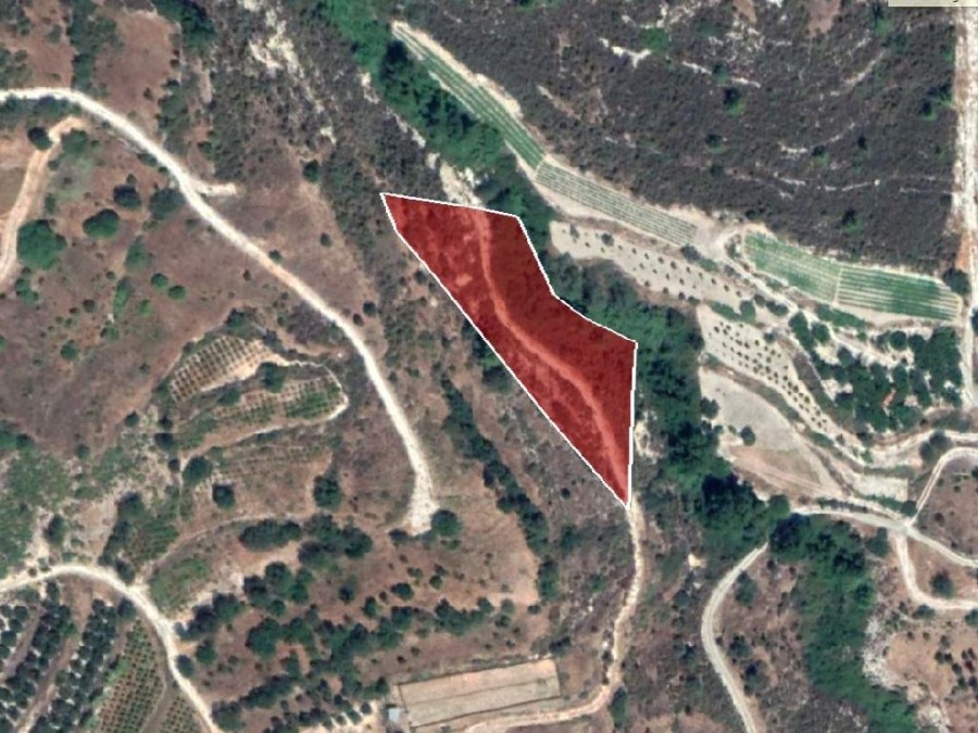 Field - Silikou, Limassol