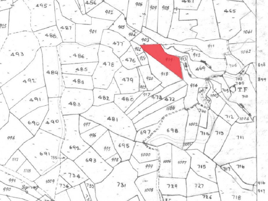 Field - Silikou, Limassol