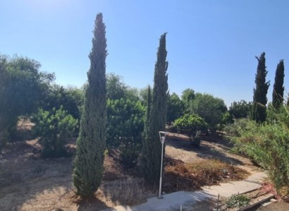 Kato Paphos, Paphos Apartment For Sale | WW12569