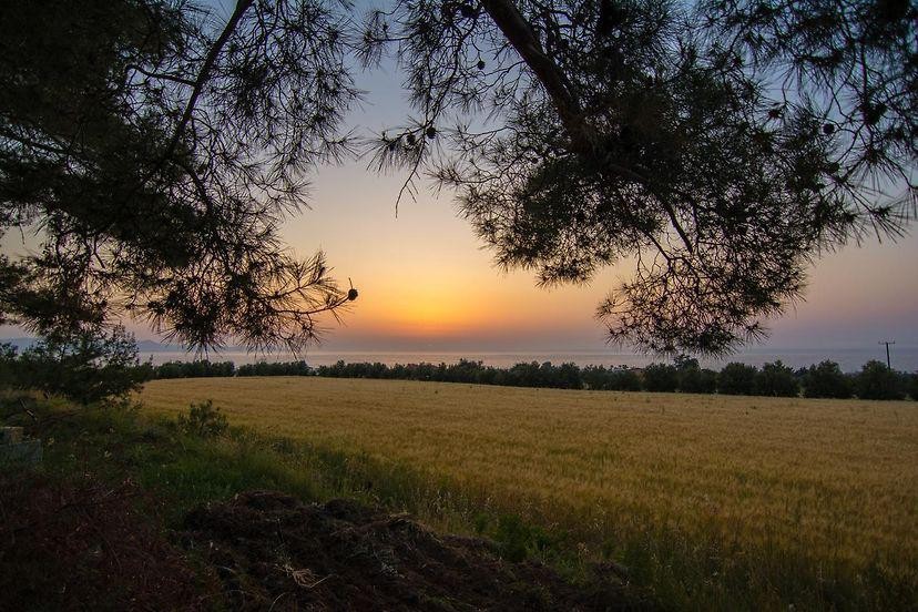 Bungalow For Rent  in  Agia Marina Chrysochous